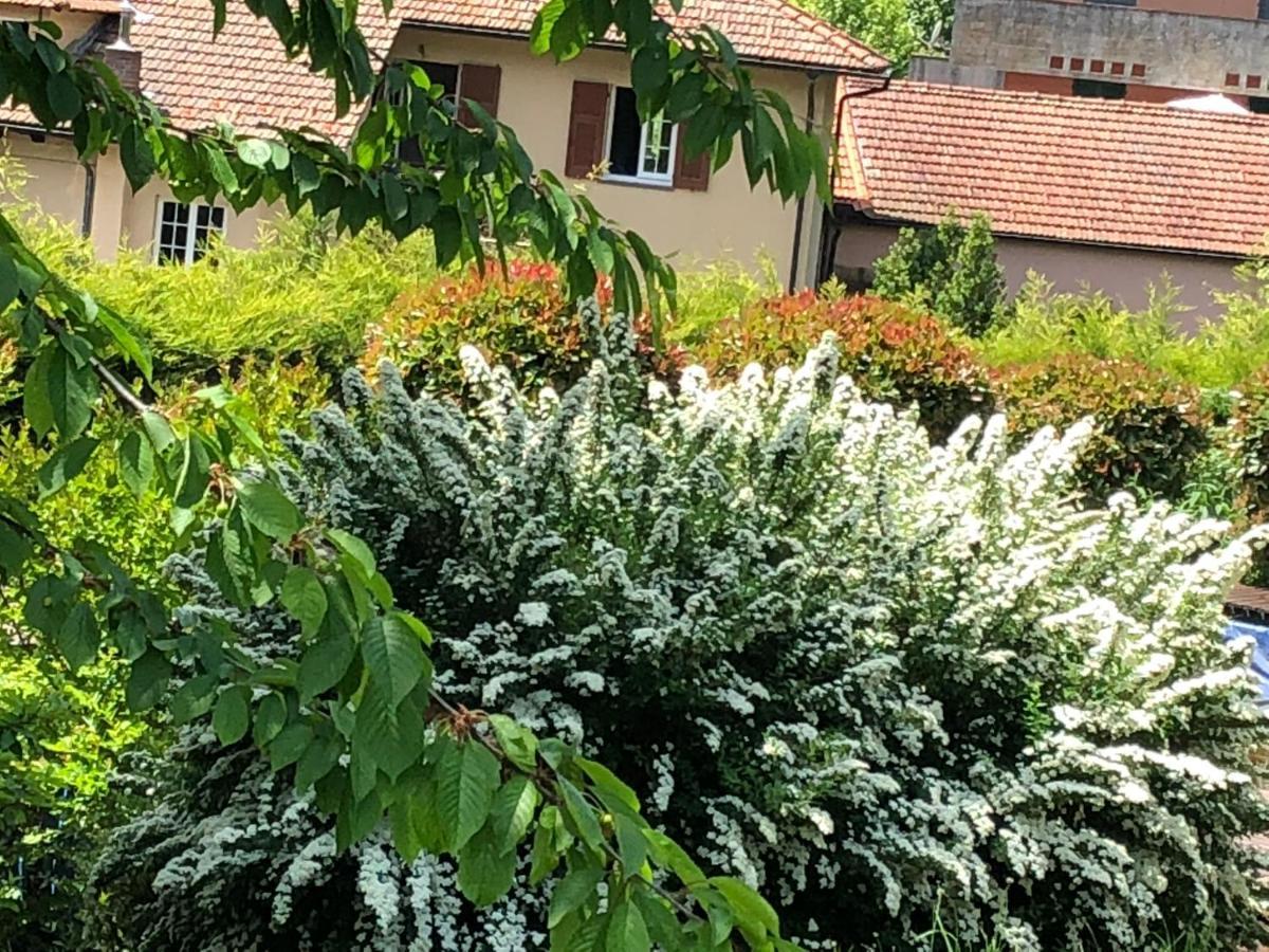 A O Soa B&B Savignone Esterno foto