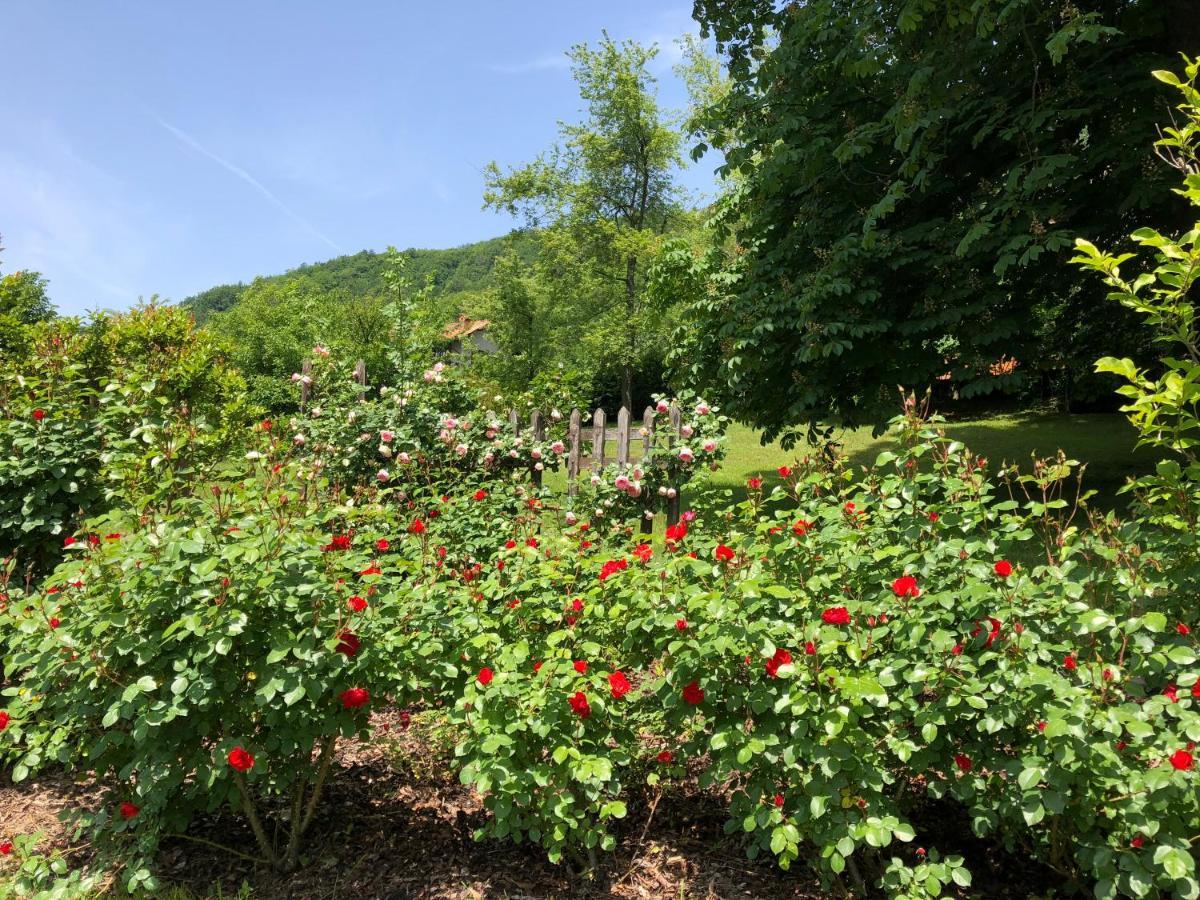 A O Soa B&B Savignone Esterno foto
